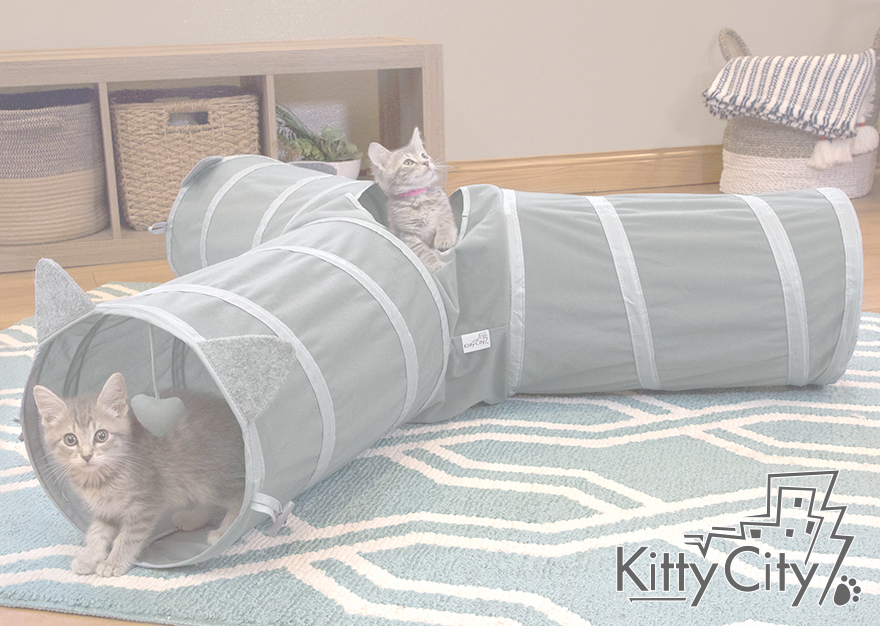 Kitty City Brand Rollover Image